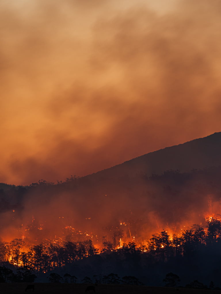 Photo of bushfire with sky darkened by smoke and embers